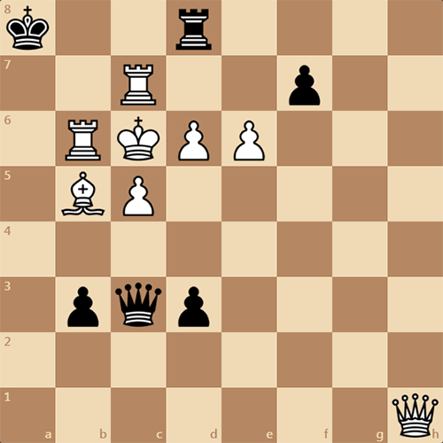 Strategies in Echo Chess