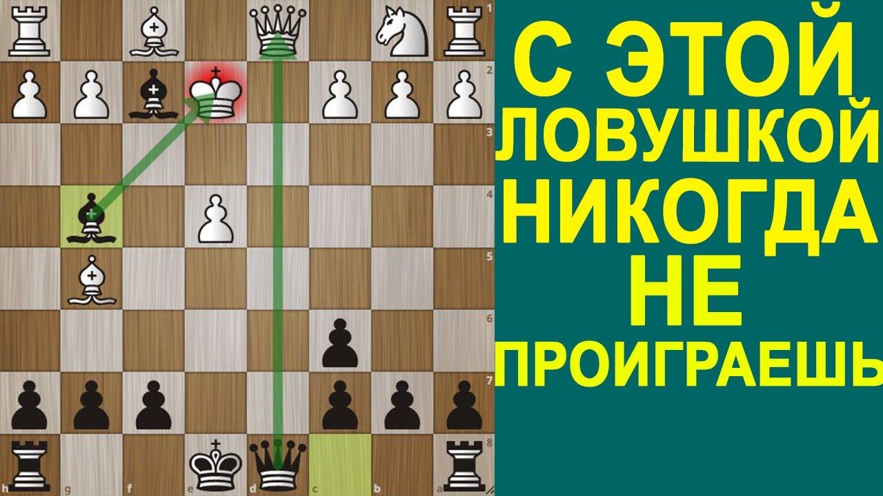 Strategies in Echo Chess